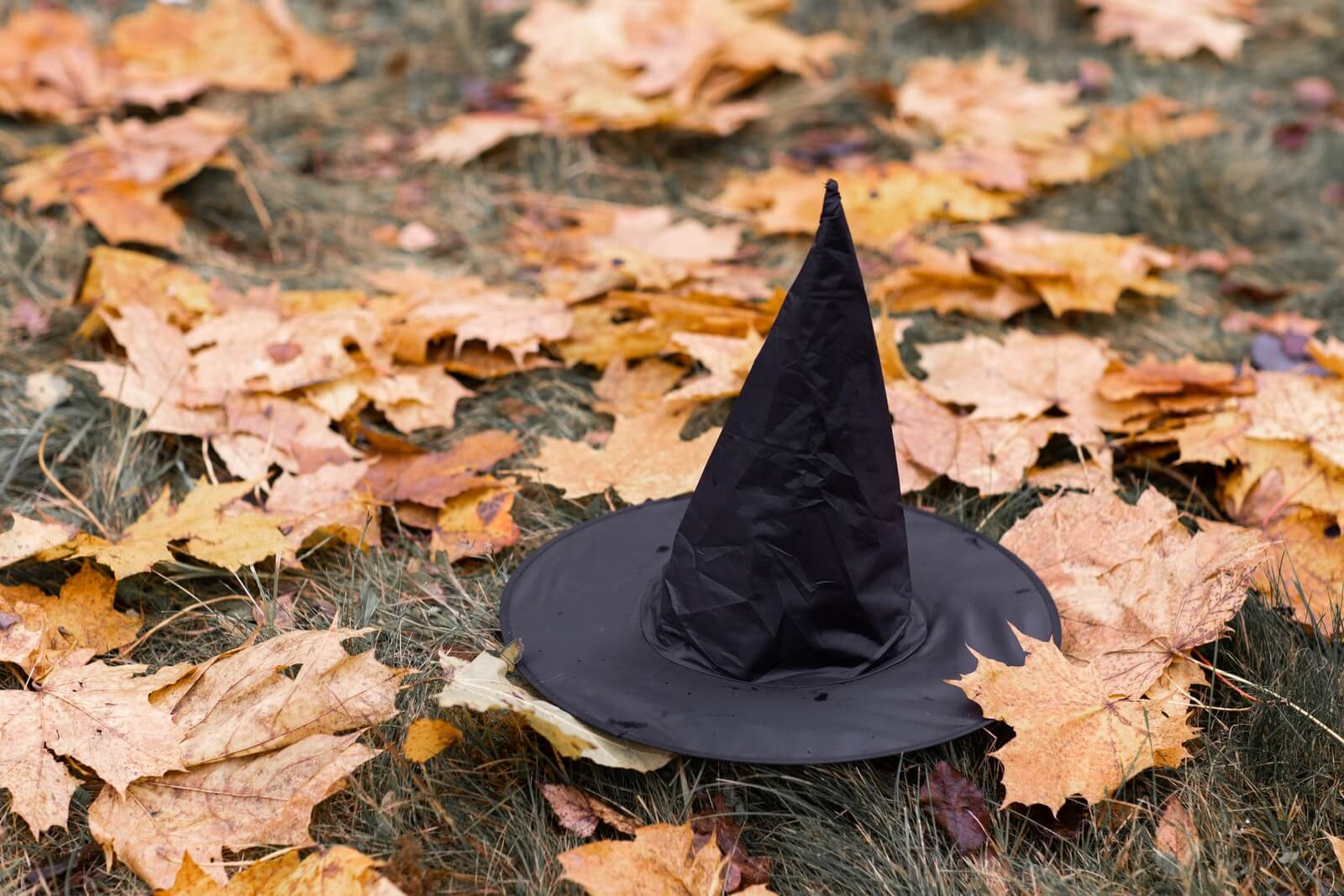 A black witch's hat sits upright among fallen leaves on halloween.
